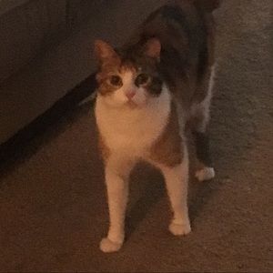 Meet your Posher, Kelsey